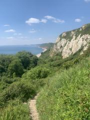 Near Beer Head - looking back towards Branscombe Beach, Sidmouth in the distance